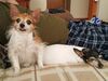 Filename=20190804_002.jpg
Filesize=466KiB
Dimensions=2048x1536
Date added=Apr 04, 2020 20190804_002.jpg