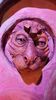 Filename=20240328_026.jpg
Filesize=361KiB
Dimensions=1152x2048
Date added=Mar 16, 2025 20240328_026.jpg