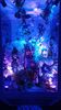 Filename=20240328_083.jpg
Filesize=398KiB
Dimensions=1152x2048
Date added=Mar 16, 2025 20240328_083.jpg