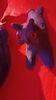 20240328_125.jpg