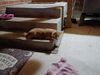Filename=20240705_003.jpg
Filesize=419KiB
Dimensions=2048x1536
Date added=Apr 27, 2025 20240705_003.jpg