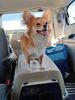 Filename=20240711_002.jpg
Filesize=322KiB
Dimensions=1536x2048
Date added=Apr 27, 2025 20240711_002.jpg
