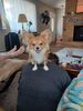Filename=20240713_009.jpg
Filesize=414KiB
Dimensions=1536x2048
Date added=Apr 27, 2025 20240713_009.jpg