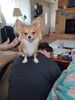 Filename=20240713_010.jpg
Filesize=418KiB
Dimensions=1536x2048
Date added=Apr 27, 2025 20240713_010.jpg