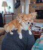 Filename=20240713_012.jpg
Filesize=449KiB
Dimensions=1759x2047
Date added=Apr 27, 2025 20240713_012.jpg