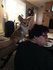 Filename=20240713_013.jpg
Filesize=302KiB
Dimensions=1536x2048
Date added=Apr 27, 2025 20240713_013.jpg