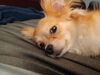 Filename=20240713_015.jpg
Filesize=214KiB
Dimensions=2048x1536
Date added=Apr 27, 2025 20240713_015.jpg