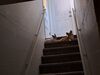 Filename=20240716_001.jpg
Filesize=458KiB
Dimensions=2048x1536
Date added=Apr 27, 2025 20240716_001.jpg
