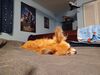 Filename=20240726_002.jpg
Filesize=388KiB
Dimensions=2048x1536
Date added=Apr 27, 2025 20240726_002.jpg