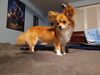 Filename=20240726_003.jpg
Filesize=338KiB
Dimensions=2048x1536
Date added=Apr 27, 2025 20240726_003.jpg