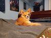 Filename=20240726_004.jpg
Filesize=337KiB
Dimensions=2048x1536
Date added=Apr 27, 2025 20240726_004.jpg