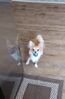 Filename=20240727_003.jpg
Filesize=289KiB
Dimensions=1342x2047
Date added=Apr 27, 2025 20240727_003.jpg