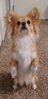 Filename=20240728_001.jpg
Filesize=308KiB
Dimensions=995x2048
Date added=Apr 27, 2025 20240728_001.jpg