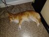 20240801_005.jpg