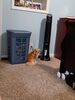 20240805_002.jpg