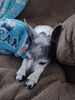 20240810_001.jpg