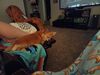 20240818_001.jpg