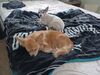 Filename=20240916_012.jpg
Filesize=512KiB
Dimensions=2048x1536
Date added=Jun 02, 2025 20240916_012.jpg