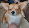 Filename=20240920_001.jpg
Filesize=395KiB
Dimensions=2048x2016
Date added=Jun 02, 2025 20240920_001.jpg