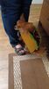 Filename=20240922_001.jpg
Filesize=326KiB
Dimensions=1152x2048
Date added=Jun 02, 2025 20240922_001.jpg