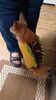 Filename=20240922_002.jpg
Filesize=311KiB
Dimensions=1152x2048
Date added=Jun 02, 2025 20240922_002.jpg
