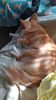 Filename=20240925_001.jpg
Filesize=367KiB
Dimensions=1152x2048
Date added=Jun 02, 2025 20240925_001.jpg