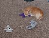 Filename=20240925_002.jpg
Filesize=842KiB
Dimensions=1554x1200
Date added=Jun 02, 2025 20240925_002.jpg