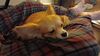 Filename=20240925_004.jpg
Filesize=238KiB
Dimensions=2048x1152
Date added=Jun 02, 2025 20240925_004.jpg