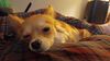 Filename=20240925_005.jpg
Filesize=192KiB
Dimensions=2048x1152
Date added=Jun 02, 2025 20240925_005.jpg