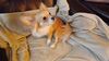 Filename=20240927_008.jpg
Filesize=174KiB
Dimensions=2048x1152
Date added=Jun 02, 2025 20240927_008.jpg