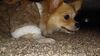 Filename=20241021_009.jpg
Filesize=387KiB
Dimensions=2048x1152
Date added=Jun 03, 2025 20241021_009.jpg