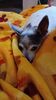 Filename=20241022_001.jpg
Filesize=202KiB
Dimensions=1152x2048
Date added=Jun 03, 2025 20241022_001.jpg