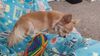Filename=20241023_004.jpg
Filesize=335KiB
Dimensions=2048x1152
Date added=Jun 03, 2025 20241023_004.jpg