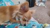 Filename=20241023_005.jpg
Filesize=265KiB
Dimensions=2048x1152
Date added=Jun 03, 2025 20241023_005.jpg