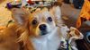 20241129_004.jpg